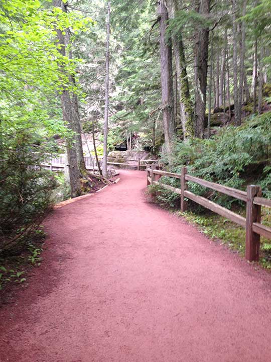 Trail of Cedars